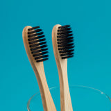 Organic Bamboo Toothbrush for Kids/Toddler/Adult - BPA Free Bristle (Pack of 2)